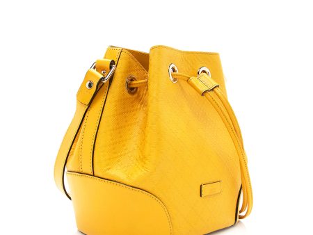 Gucci Bright Diamante Bucket Bag (SHF-19973) For Discount